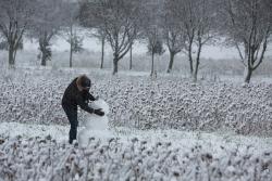 Zima w Parku Jana Pawła II