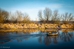 Narew.